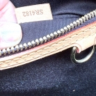 Louis Vuitton Brea