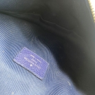 Louis Vuitton Bumbag