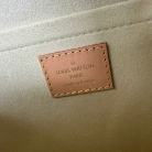 Louis Vuitton Cannes Monogram
