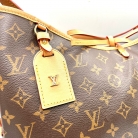 louis vuitton carry all