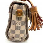louis vuitton cluny