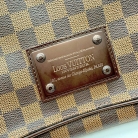 louis vuitton damier