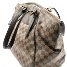 Louis Vuitton Damier Ebene