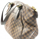 Louis Vuitton Damier Ebene
