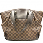 Louis Vuitton Damier Ebene