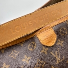 louis vuitton delightful