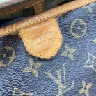 louis vuitton delightful