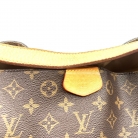 louis vuitton delightful