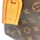 louis vuitton delightful