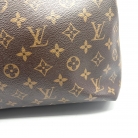 louis vuitton delightful