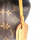 louis vuitton delightful