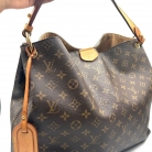 louis vuitton delightful