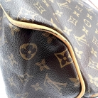 Louis Vuitton Delightful Monogram