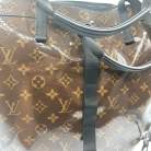 louis vuitton fashion model