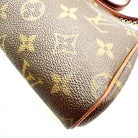 Louis Vuitton Eva