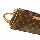 Louis Vuitton Eva
