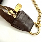 Louis Vuitton Eva
