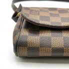 Louis Vuitton Favorite MM