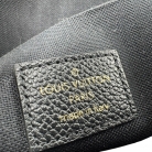 Louis Vuitton Félicie Monogram Empreinte