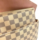 Louis Vuitton Félicie Pochette