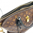 Louis Vuitton Flower