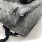 Louis vuitton josh