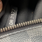 Louis vuitton josh