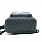 Louis Vuitton Josh
