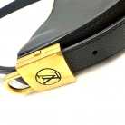 Louis Vuitton Loop