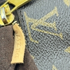 Louis Vuitton Métis Monogram
