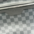 louis vuitton michael
