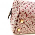 Louis Vuitton Mini Lin Josephine