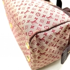 Louis Vuitton Mini Lin Josephine