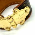 louis vuitton monogram