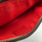 Louis Vuitton Monogram