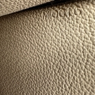Louis Vuitton Monogram