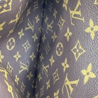 Louis Vuitton Monogram Rayée