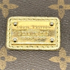 Louis Vuitton Monogram zippy limited