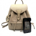 Louis Vuitton Montsouris