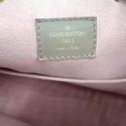 Louis Vuitton Montsouris
