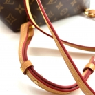 Louis Vuitton Montsouris Monogram PM