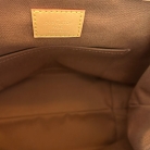 Louis Vuitton Montsouris Monogram PM