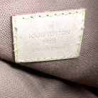 Louis Vuitton Multipochette