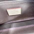 louis vuitton multipochette