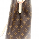Louis Vuitton NeoNoé Monogram