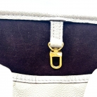 louis vuitton neverfull
