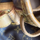 Louis Vuitton Noé Monogram