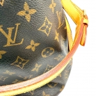 Louis Vuitton Noé Monogram