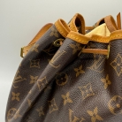 Louis Vuitton Noé Monogram