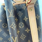 Louis Vuitton Noé Monogram